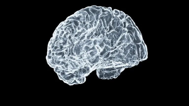 Investigación del MIT sobre redes neuronales artificiales capaces de organizar su aprendizaje para mejorar el procesamiento de información y la toma de decisiones